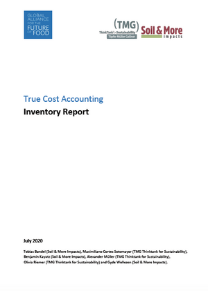 True Cost Accounting: Inventory Report