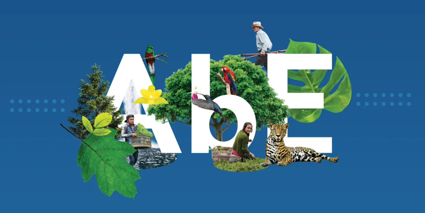 Guatemala holds its first National Forum on Ecosystem-based Adaptation