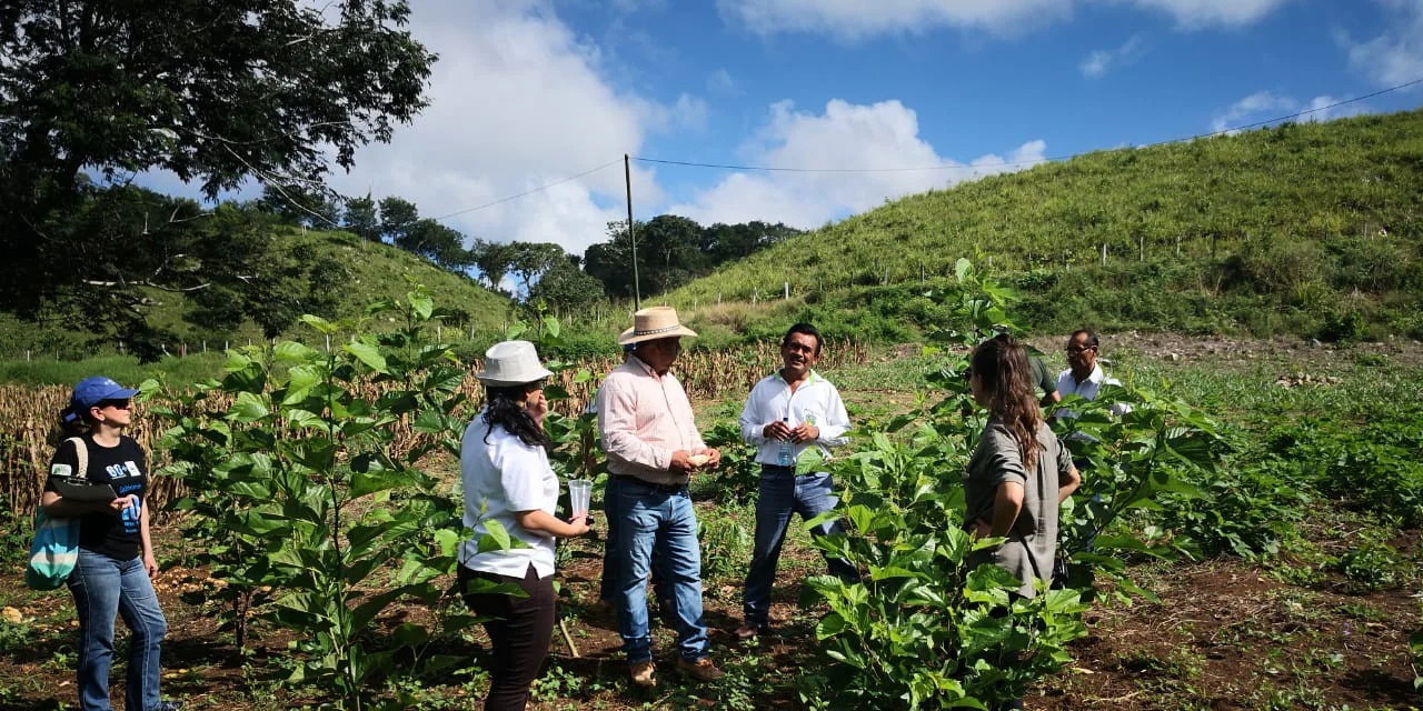Nurturing nature: Identifying Ecosystem-based Adaptation (EbA) initiatives to build social and political support for EbA upscaling in Guatemala