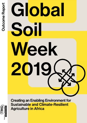 Global Soil Week 2019 - Creating an Enabling Environment for Sustainable and Climate Resilient Agriculture in Africa (Outcome Report)