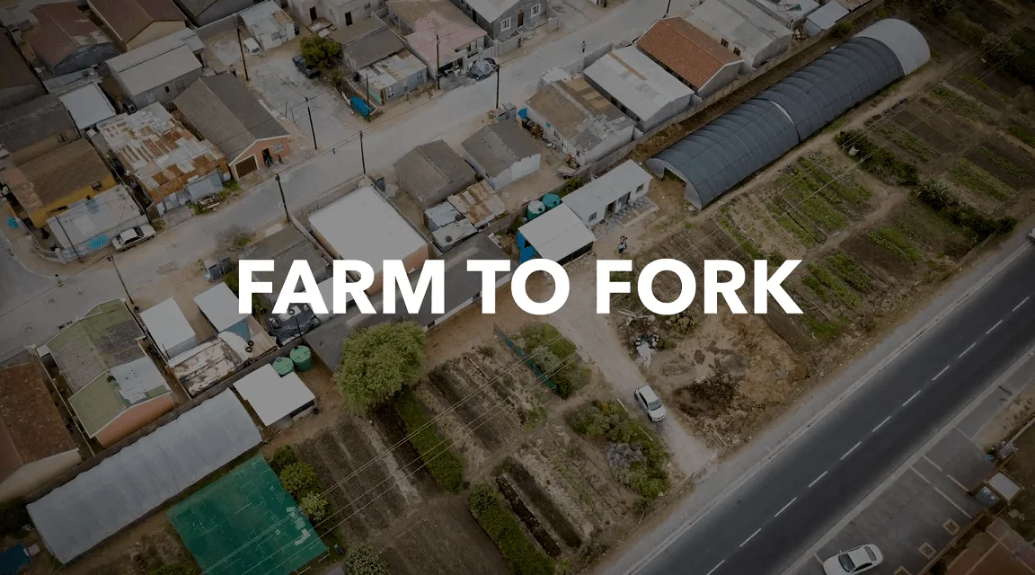 Farm to Fork: an episode in a South African food series