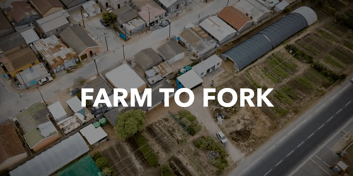 Farm to Fork: an episode in a South African food series