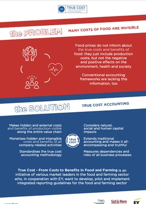True Cost – From Costs to Benefits in Food and Farming project 2-pager 