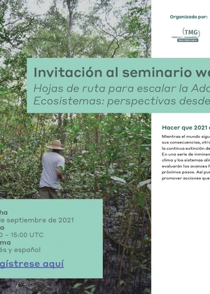 Hojas de ruta para escalar la Adaptación basada en Ecosistemas: perspectivas desde Guatemala e India