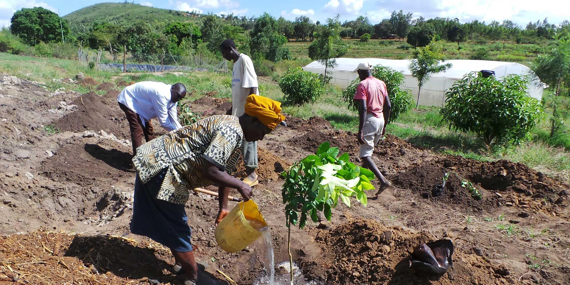 Creating an enabling environment for nature-based solutions to climate change