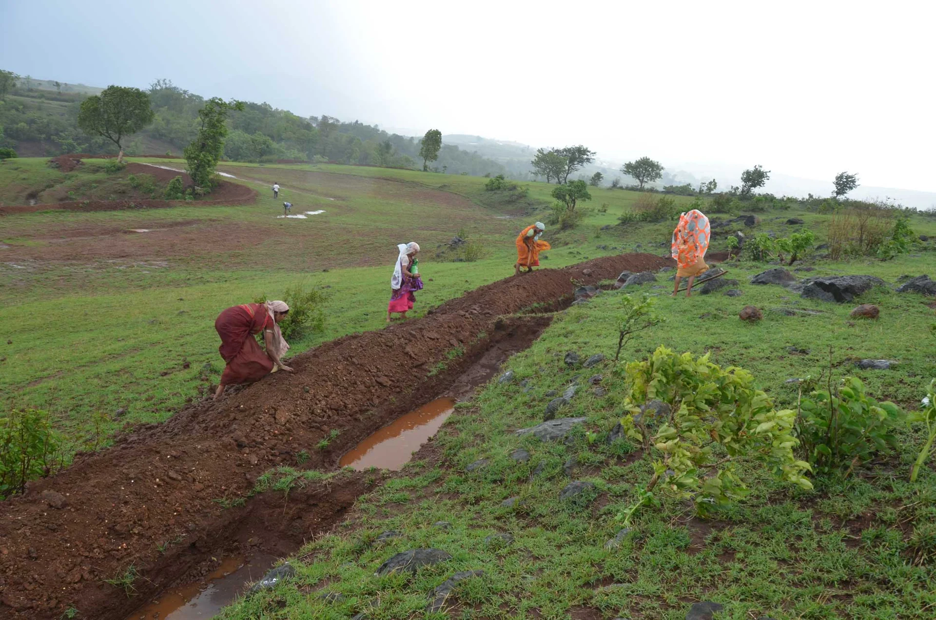 Mainstreaming EbA in the rainfed regions of Maharashtra