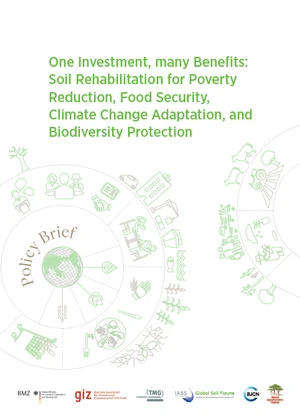 One Investment, many Benefits: Soil Rehabilitation for Poverty Reduction, Food Security, Climate Change Adaptation, and Biodiversity Protection