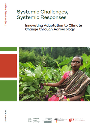 Systemic Challenges, Systemic Responses: Innovating adaptation to climate change through agroecology