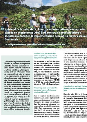 Nutriendo a la naturaleza: Identificando iniciativas de Adaptación basada en Ecosistemas (AbE) para construir apoyos políticos y sociales que faciliten la implementación de la AbE a mayor escala en Guatemala 
